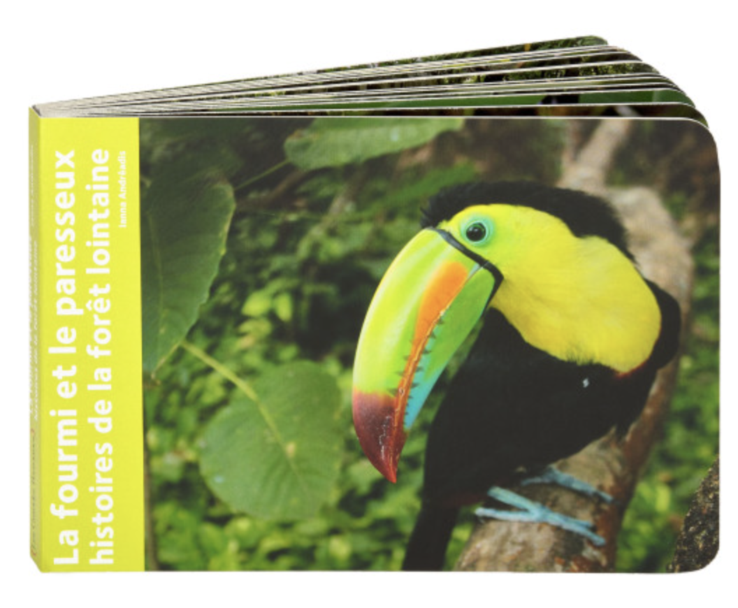 Cover of La fourmi et le paresseux