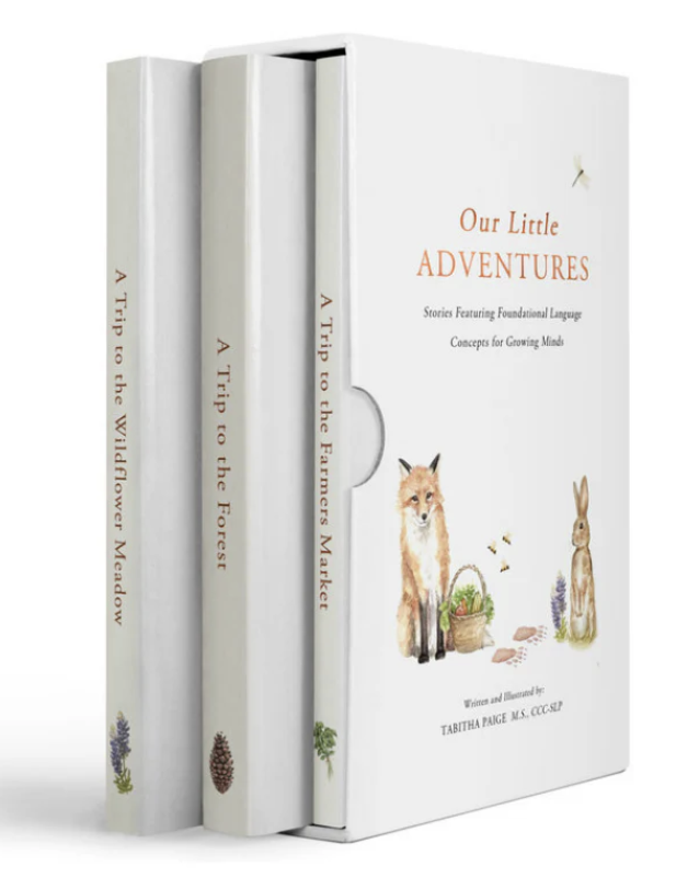 Cover of Our Little Adventures